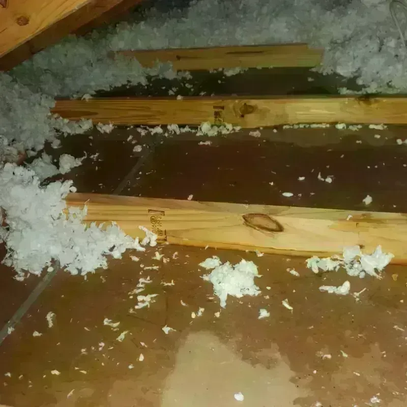 Attic Water Damage in Greenville, OH