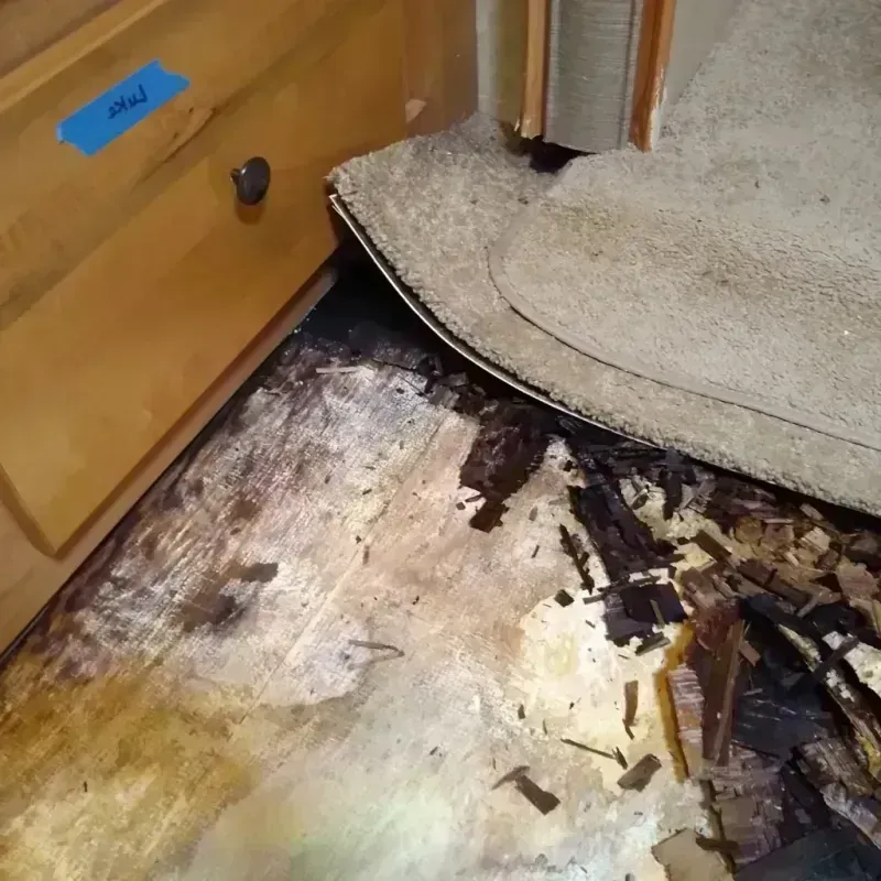 Wood Floor Water Damage in Greenville, OH